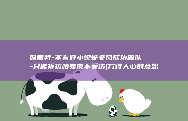佩蒂特-不看好小蜘蛛冬窗成功离队-只能祈祷哈弗茨不受伤 (方得人心的意思)