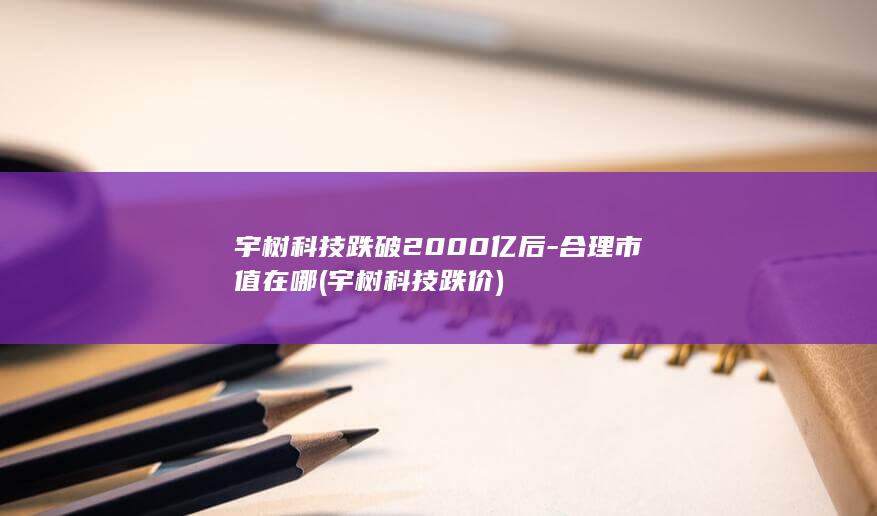 宇树科技跌破2000亿后-合理市值在哪 (宇树科技跌价)