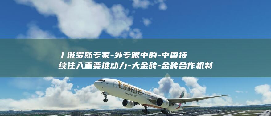 丨俄罗斯专家-外专眼中的-中国持续注入重要推动力-大金砖-金砖合作机制走深走实 (俄罗斯专家制国内承认吗)