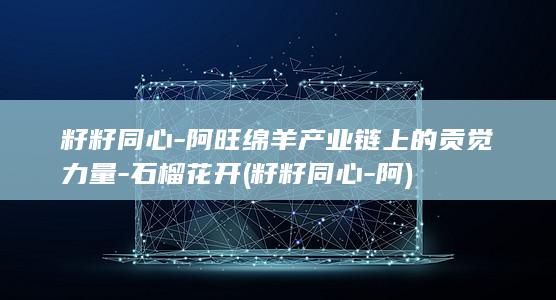 籽籽同心-阿旺绵羊产业链上的贡觉力量-石榴花开 (籽籽同心-阿)