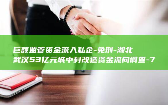 巨额监管资金流入私企-免刑-湖北武汉53亿元城中村改造资金流向调查-7.2亿元违法所得缘何 (资金监管的钱能取走吗)