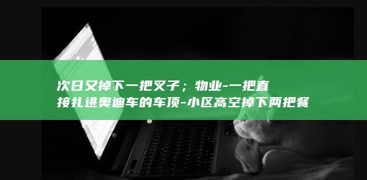 次日又掉下一把叉子；物业-一把直接扎进奥迪车的车顶-小区高空掉下两把餐刀-已配合警方开展调查-预估维修费用12万元