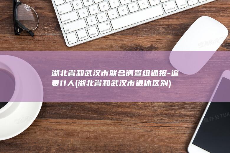 湖北省和武汉市联合调查组通报-追责11人 (湖北省和武汉市退休区别)